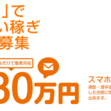 メールレディ ポケットワーク